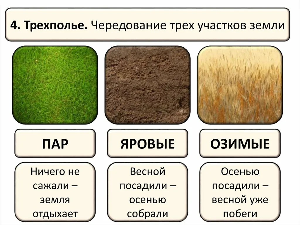 клик для увеличения